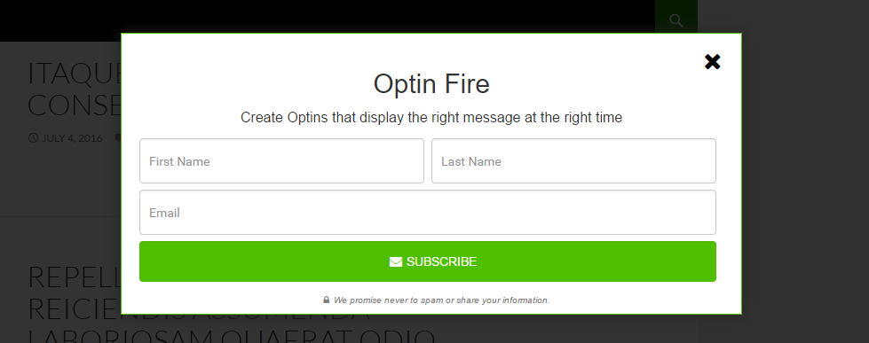 Newsletter Optin screenshot